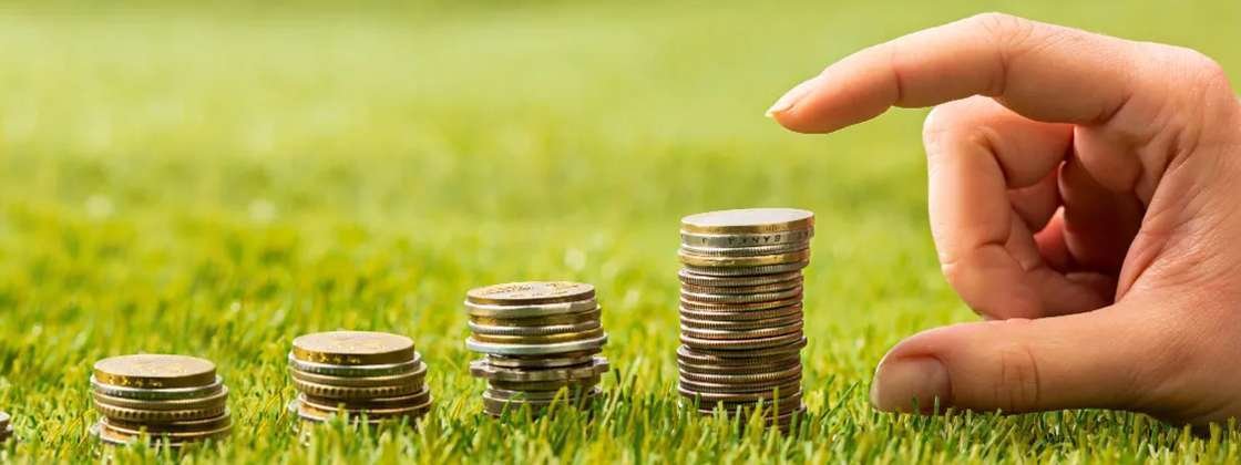 Shriji Group Project