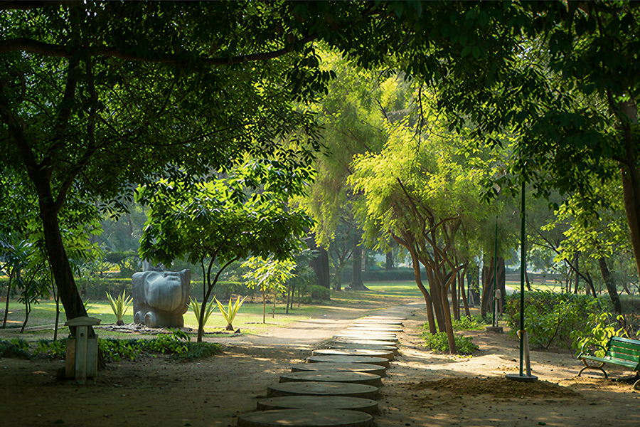 Rekhaai Pisavali Garden Rekhaai Pisavali Garden