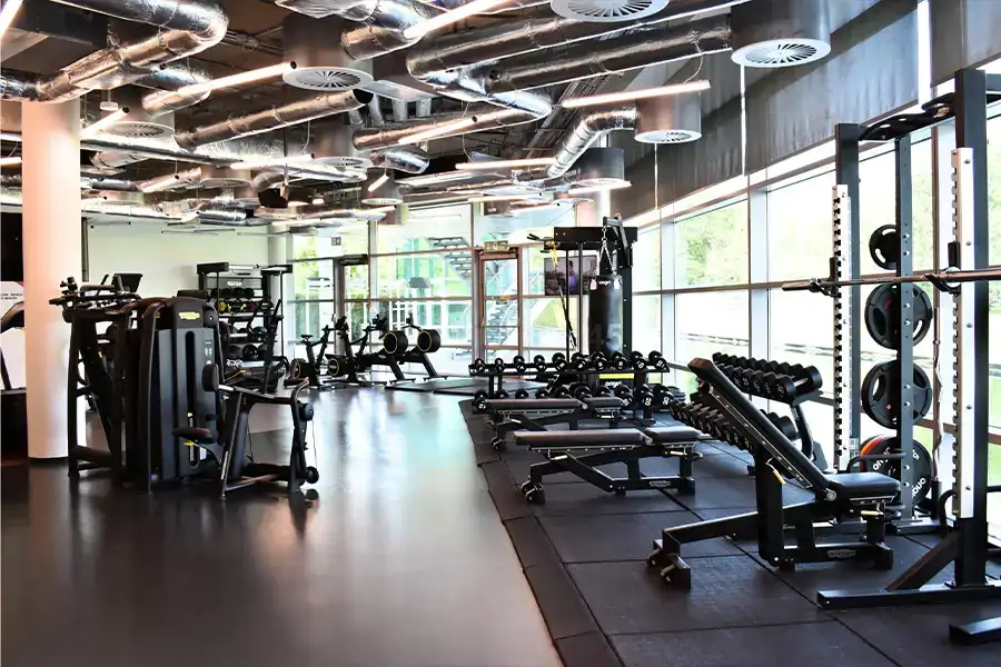 Shree Siena Ghodbunder Road Gym Shree Siena Ghodbunder Road Gym